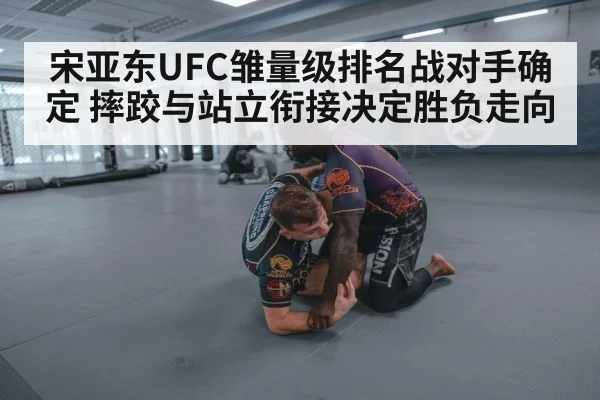 宋亚东UFC雏量级排名战对手确定 摔跤与站立衔接决定胜负走向